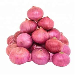 Red Onion - 赤タマネギ