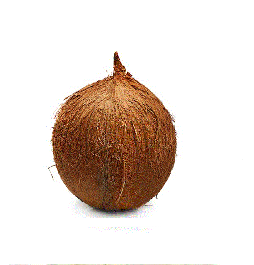 coconut whole22
