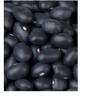 black beans finbal